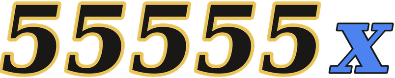 55555x logo